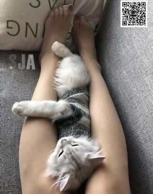 91社区视频在线观看_4K免费观看超清