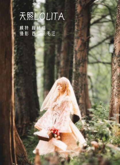 国产和进口乙胛疫苗有什么区别_720电影在线观看
